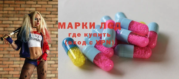 сатива Вязьма