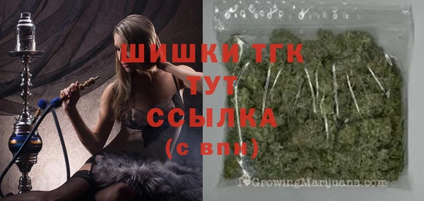 твердый Горняк