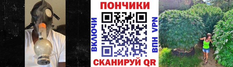Шишки марихуана план  Избербаш 